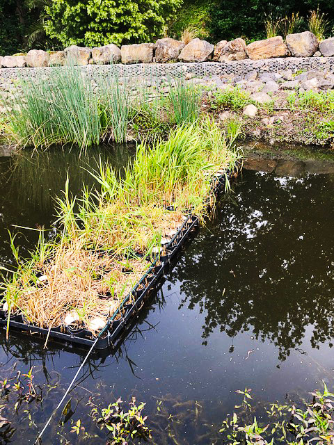 Floating, modular system