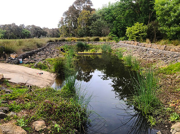 Chelsworth Park stormwater harvesting system