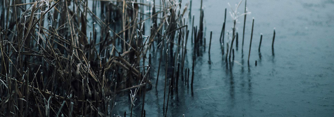 Environmental Water Management Consulting Services