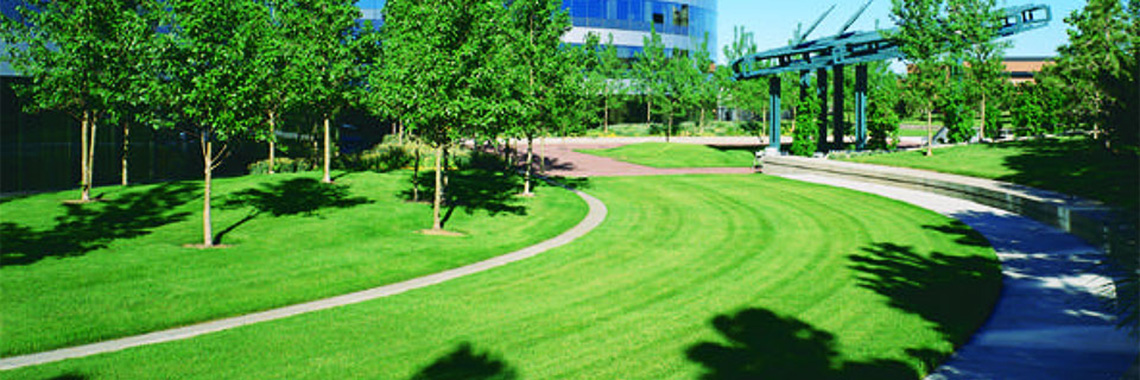 Grass paving technology